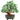 Feng Shui Green Quartz Crystal Money Tree – 7-Inch Bonsai Gem Decoration for Wealth & Luck